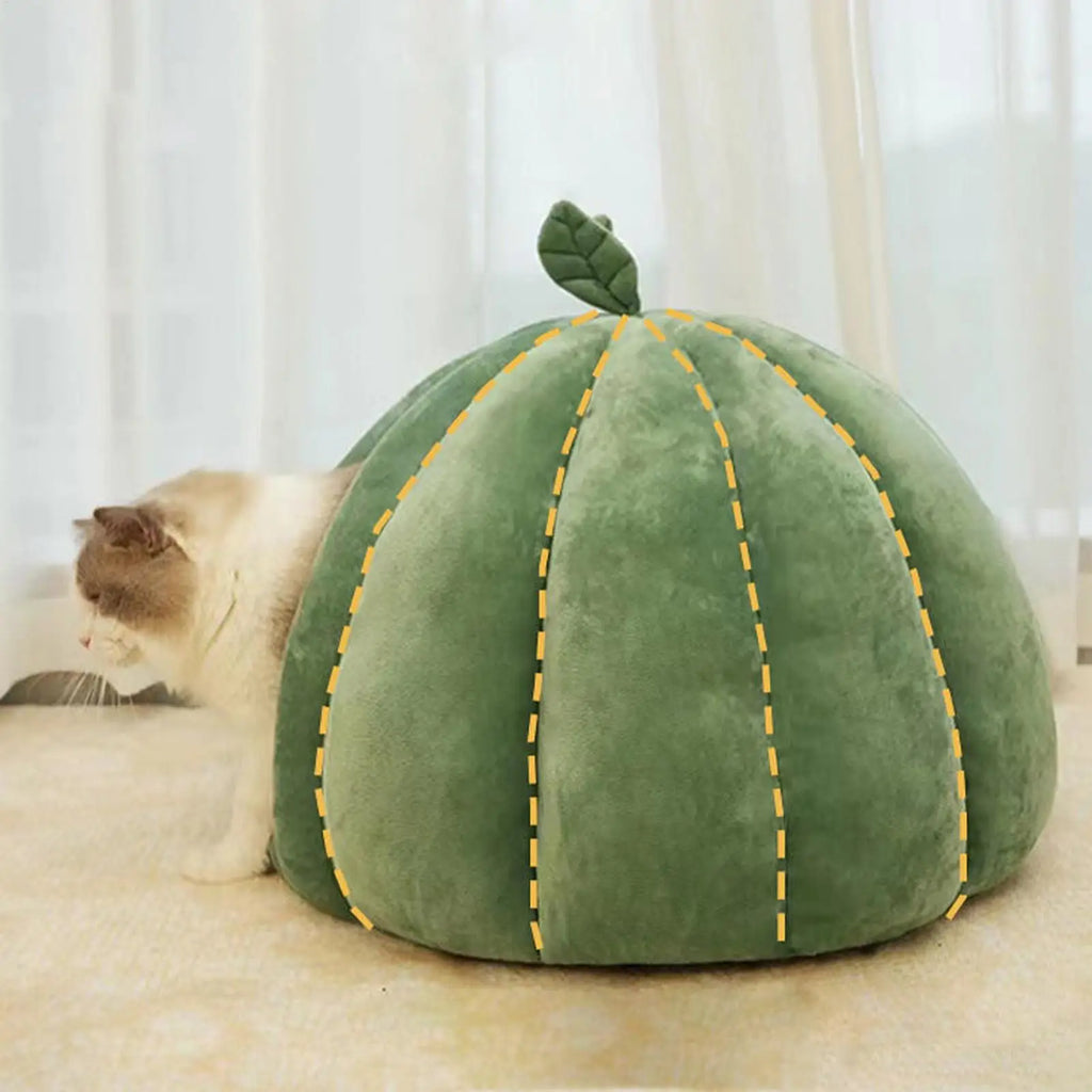 Pumpkin Cat House Enclosed Bed for Kittens