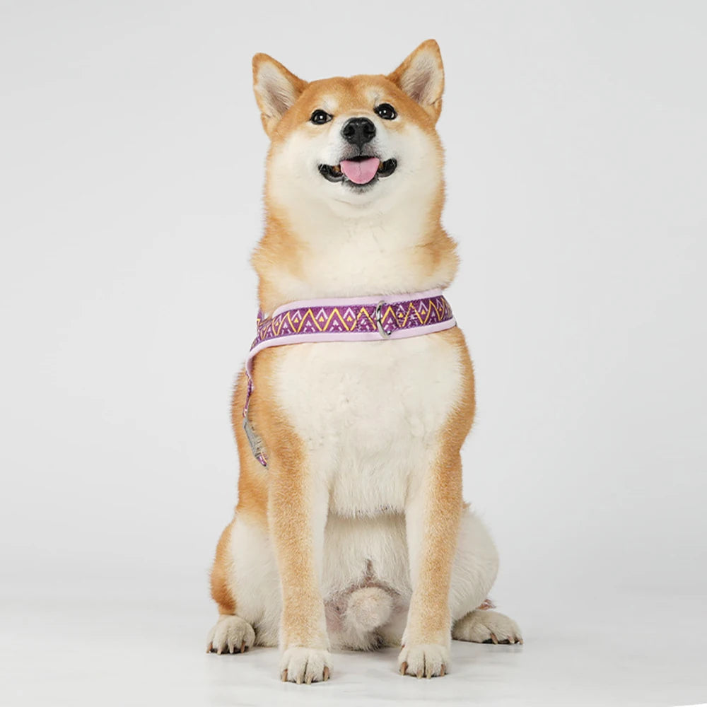 Printed Saddle No-Pull Padded Dog Harness Vest | PawJoyKwT