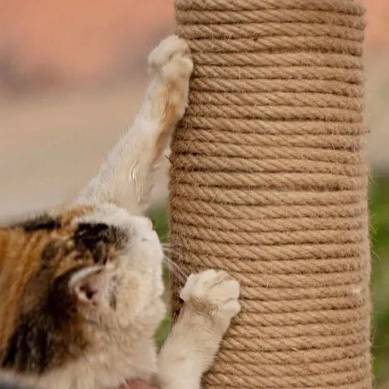 Hemp Rope Cat Scratching Post