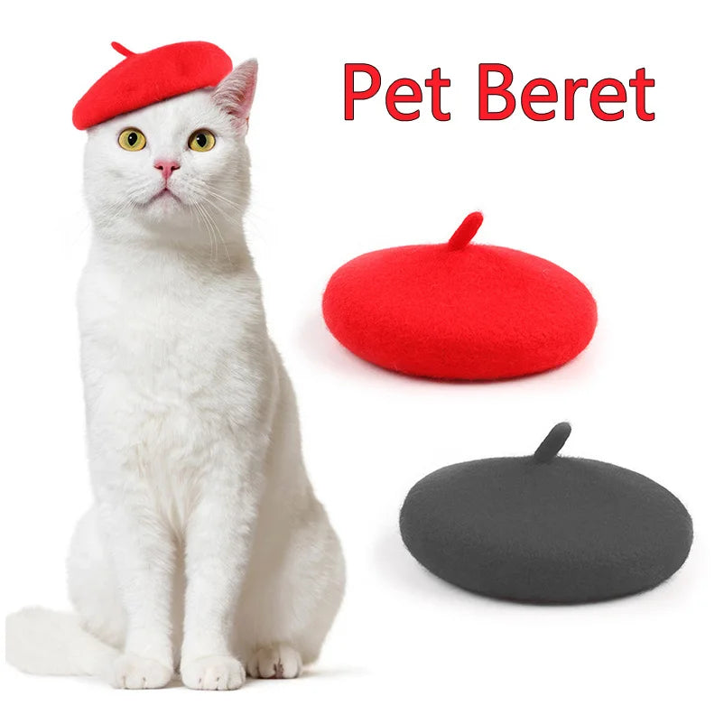 Pet beret hat on white cat, red beret with small top pin