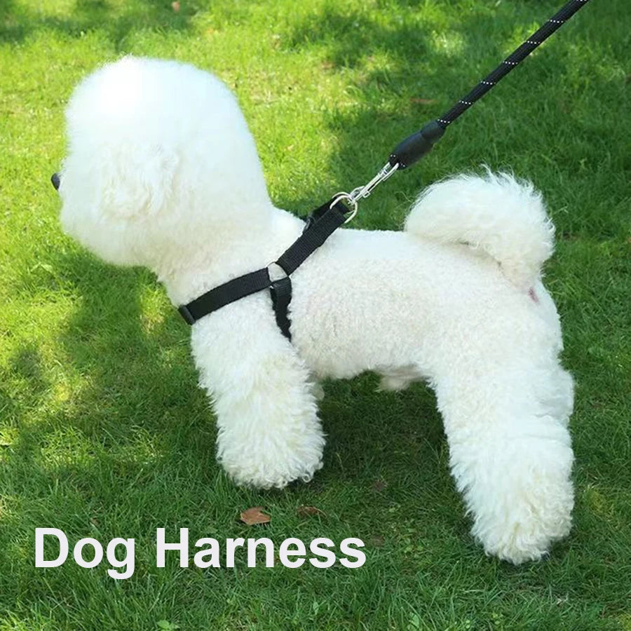 Adjustable Triangular Breathable Nylon Dog Harness Vest | PawJoyKwT