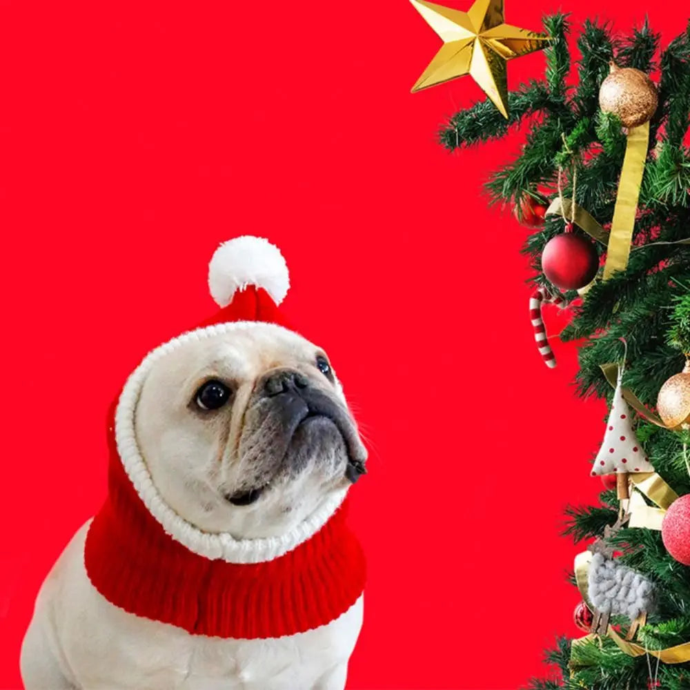 Festive Wool Hat for Cats & Dogs — Christmas & New Year