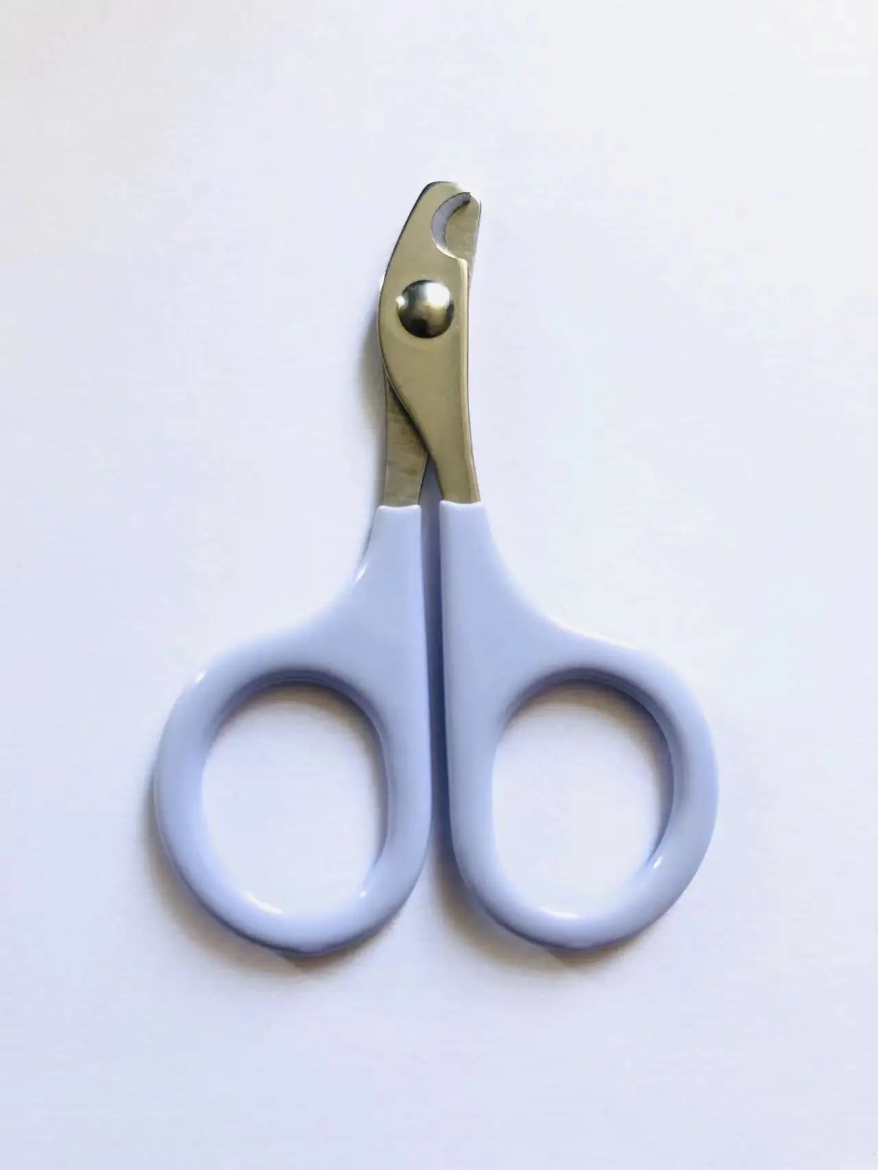 Light blue pet nail grooming scissors with gold-toned blades and two finger rings