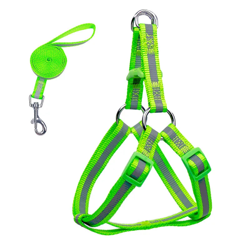 Reflective dog harness with leash, neon green reflective straps and silver metal hardware