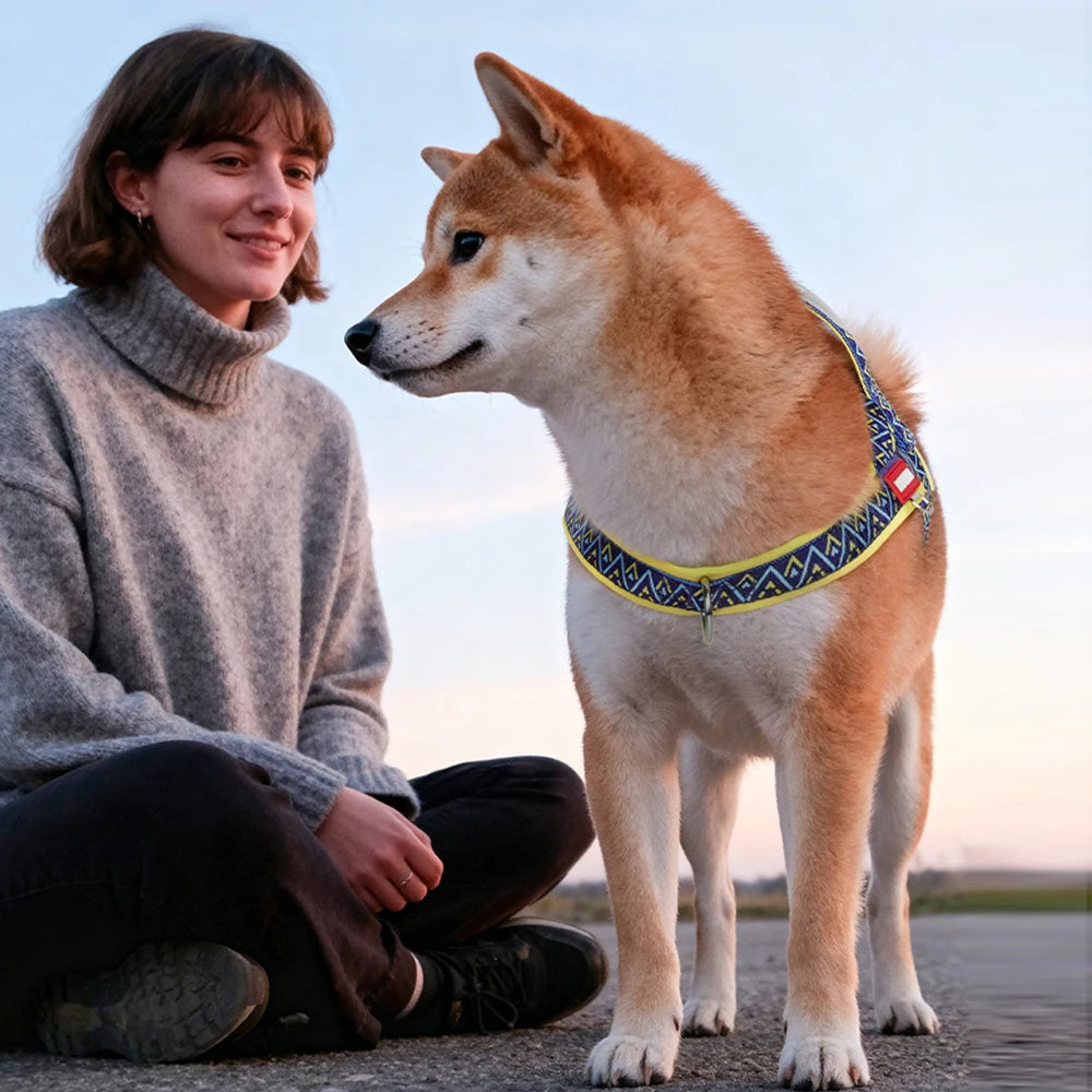 Printed Saddle No-Pull Padded Dog Harness Vest | PawJoyKwT
