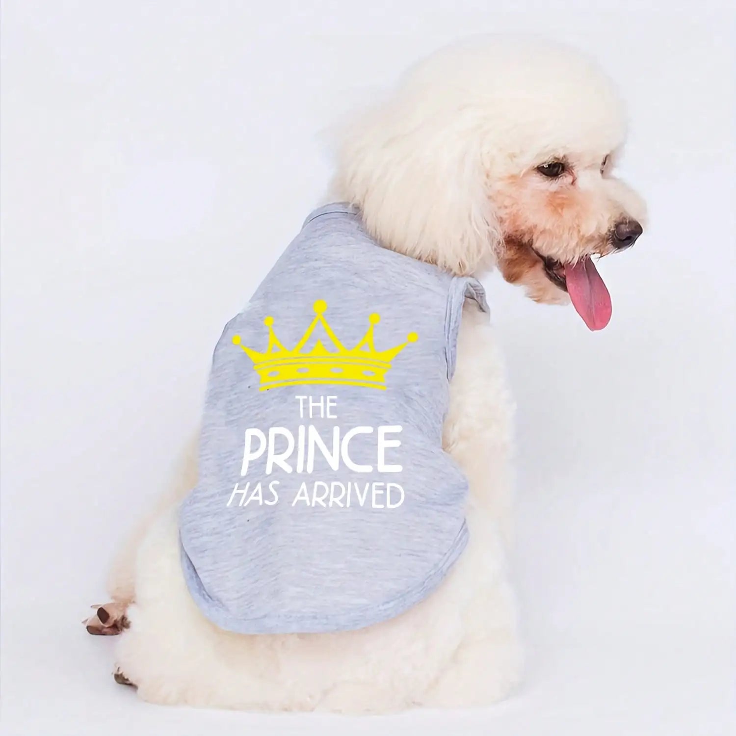 Gray pet vest for dogs and cats with yellow crown and 'The Prince Has Arrived' text