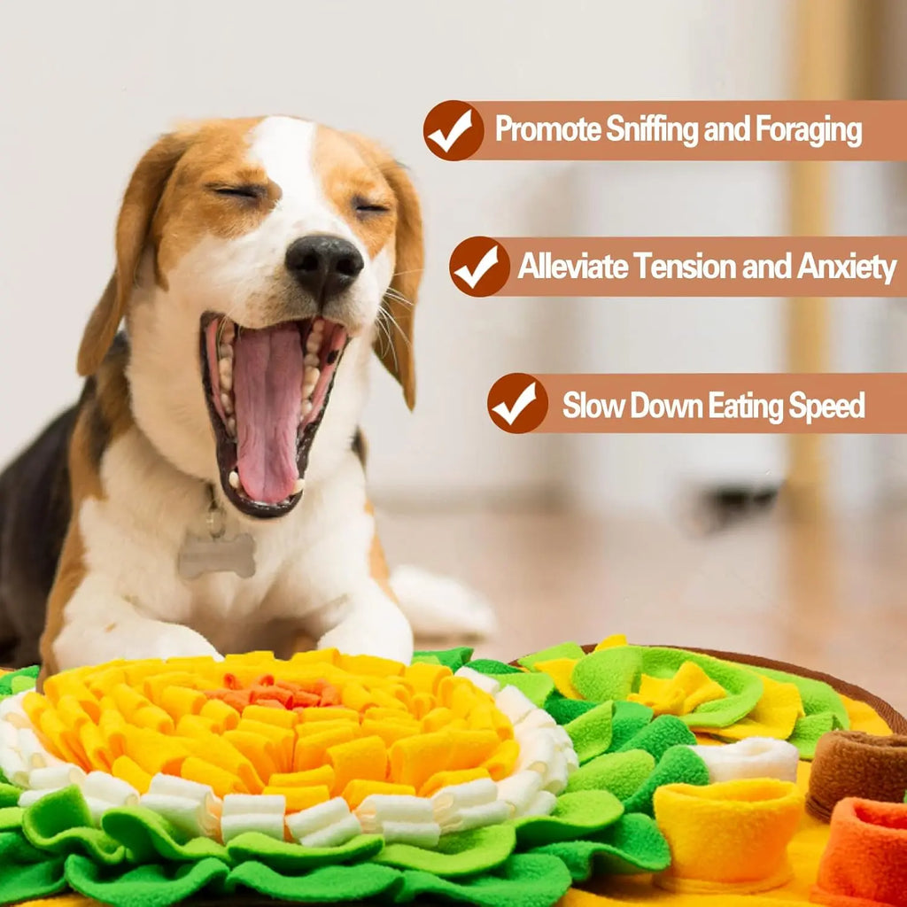 Interactive Pet Snuffle Mat for Dogs Natural Foraging Skills