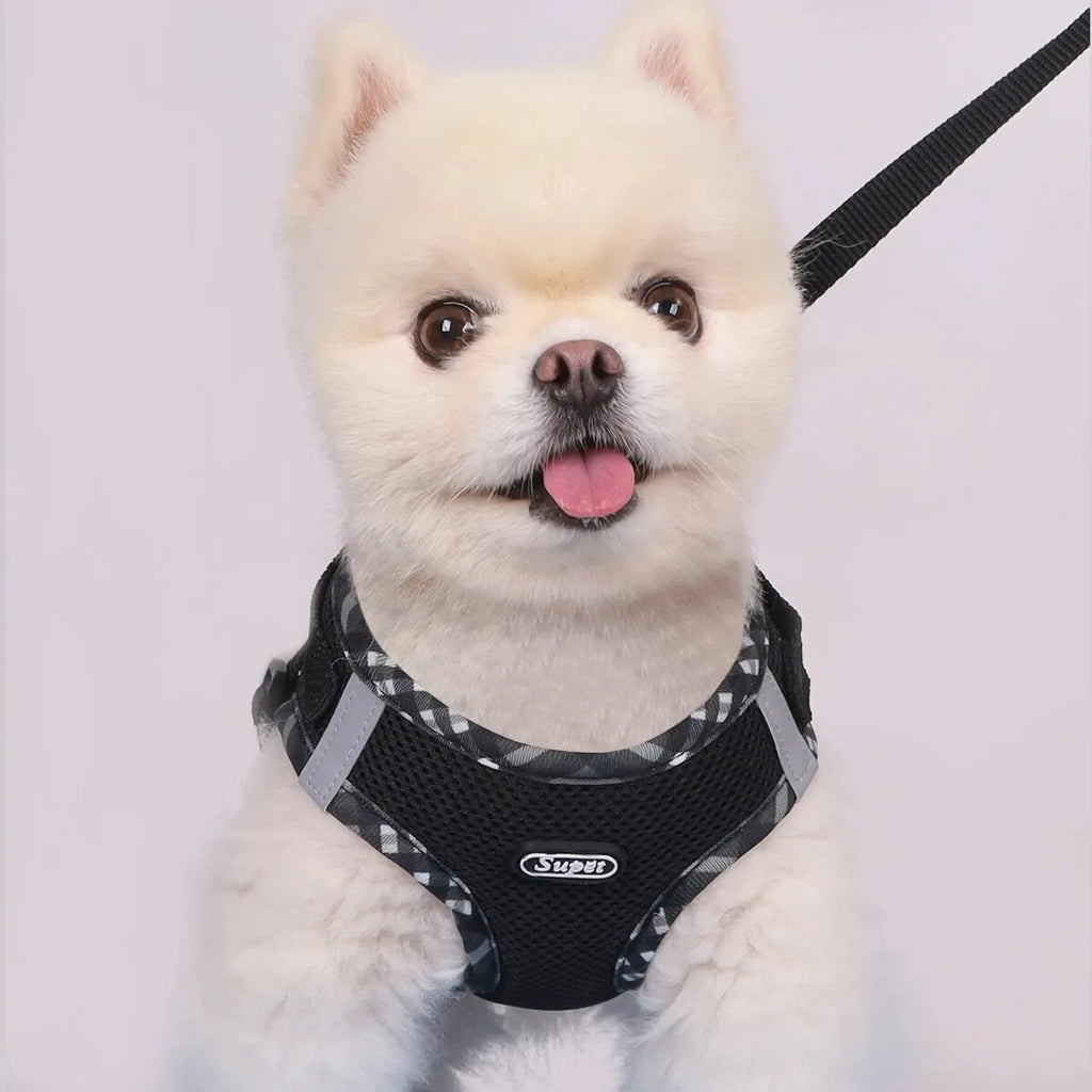 Dog Harness Leash Set Rainbow Colorful Cute Adjustable No Pull Vest Small Medium