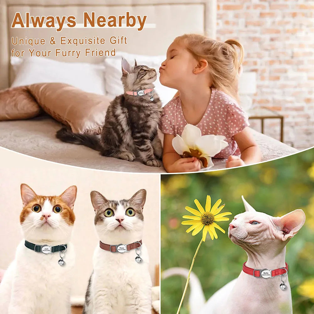 Cat collar with engraved ID tag and hanging bell shown on cats