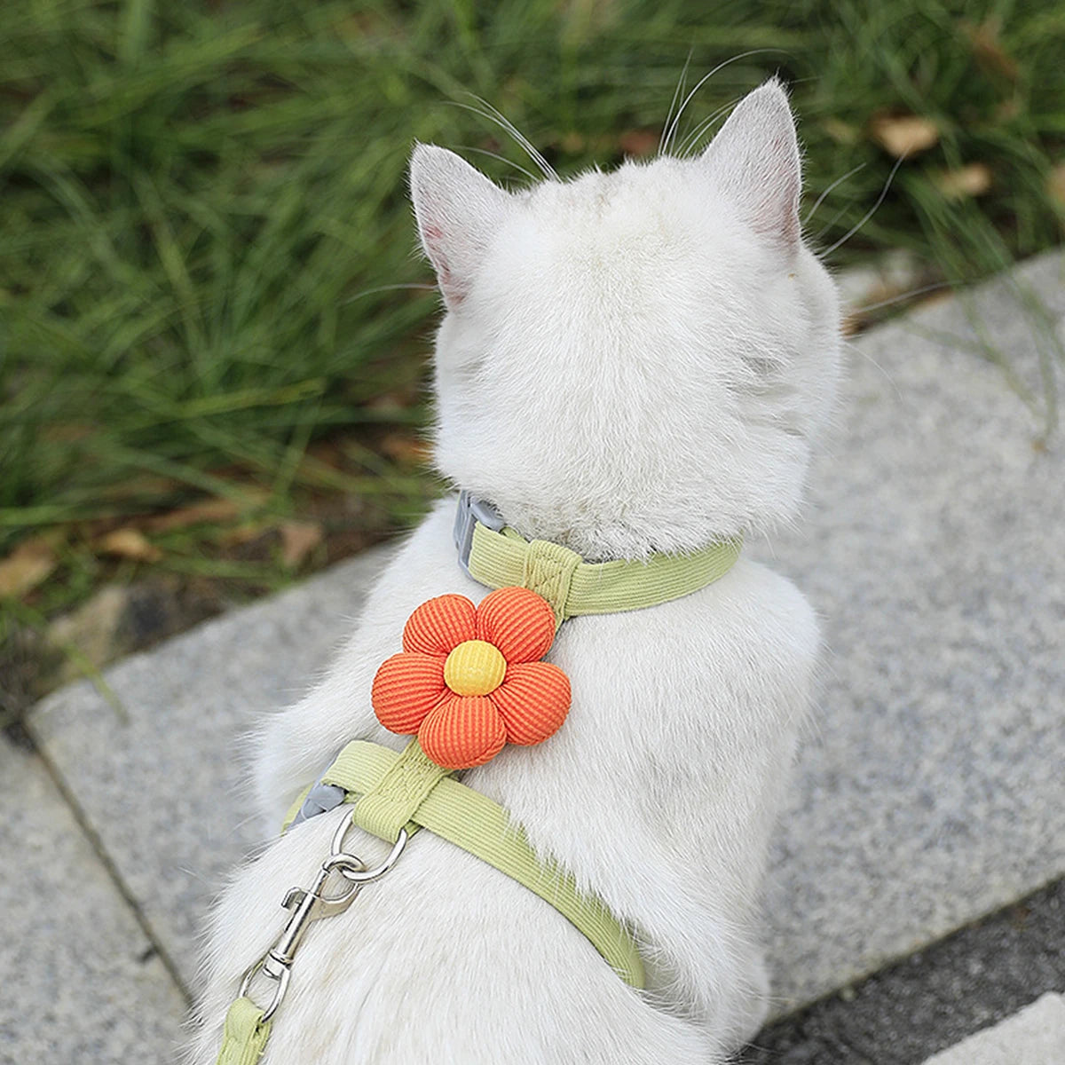 Cat harness and leash set with light green straps and orange flower charm