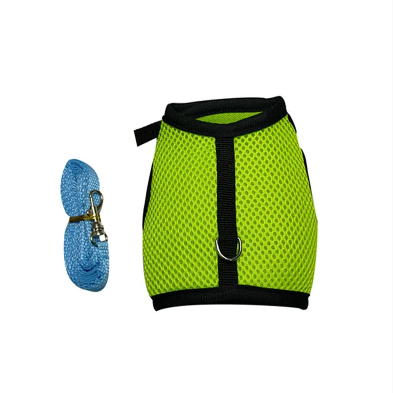 Green mesh harness with blue leash, black trim, and metal D-ring.