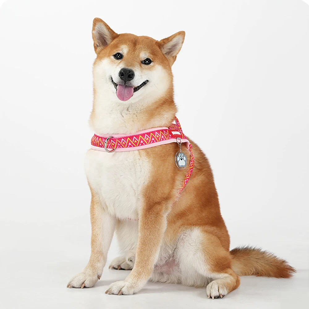 Printed Saddle No-Pull Padded Dog Harness Vest | PawJoyKwT