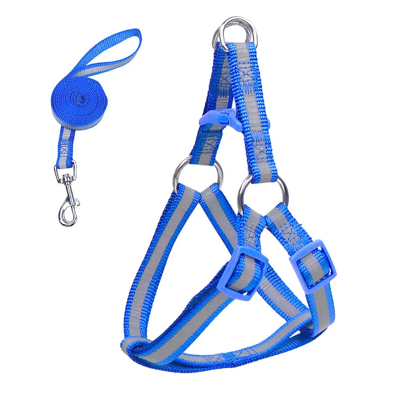 Reflective dog harness with leash, bright blue reflective straps and metal rings