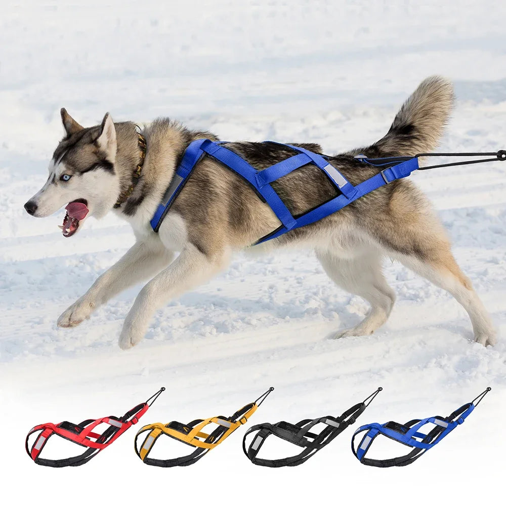 X-Back Sled Harness Large Dogs Husky Canicross | PawJoyKwT