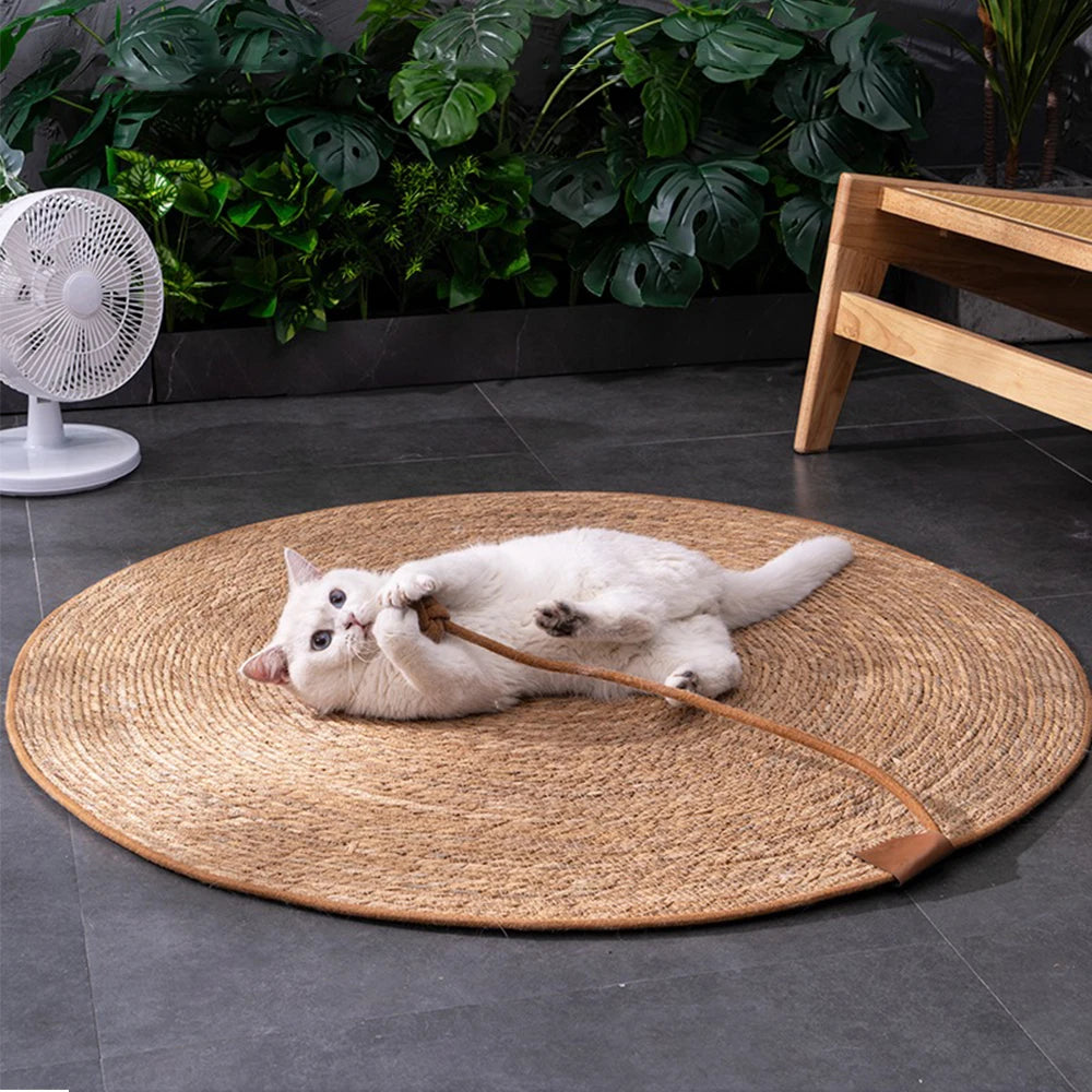Rattan Cat Scratching Board