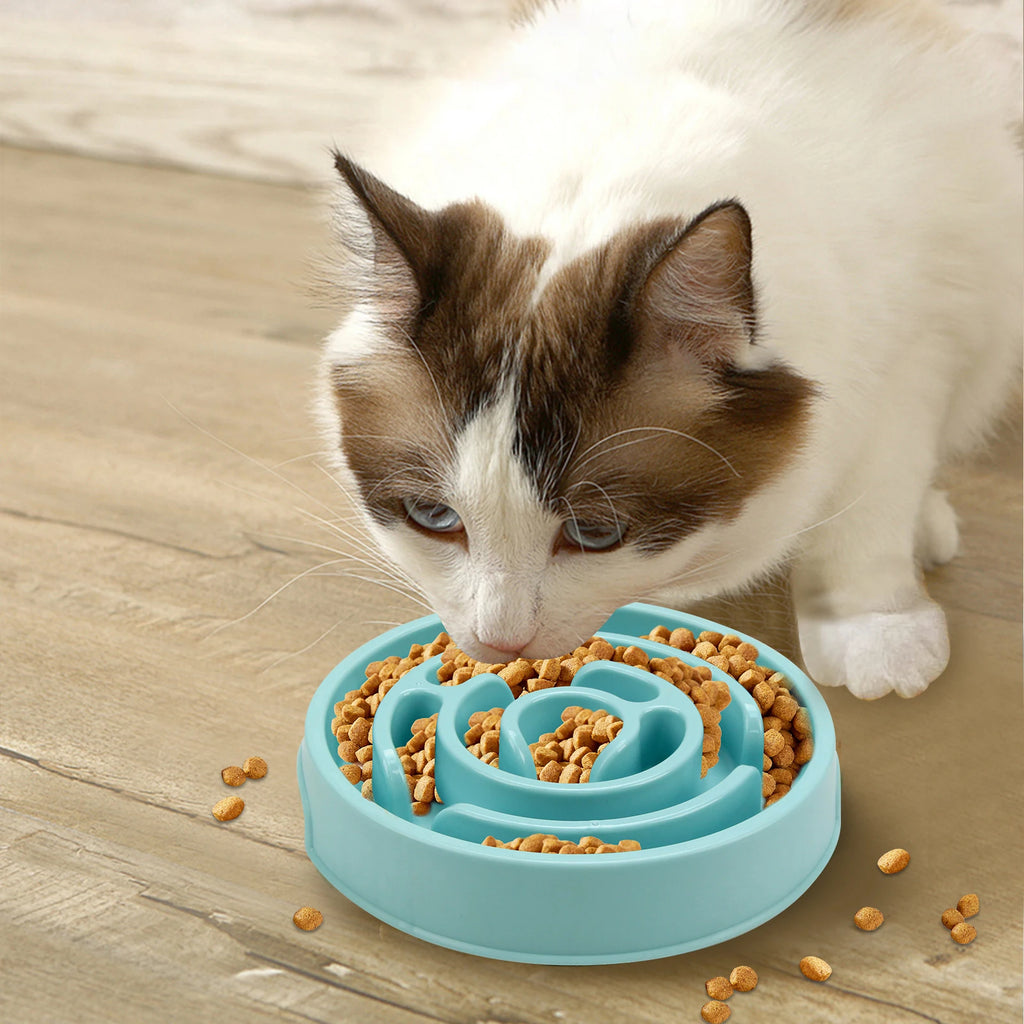 Eco Non-Slip Anti-Gulping Slow Feeder Dog Bowl All Sizes