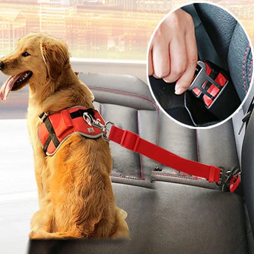 Red adjustable pet car safety harness with metal clip and buckle, secured for seatbelt use.