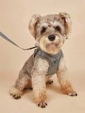 No-Pull Step-In Dog Harness Leash Set Walking | PawJoyKwT