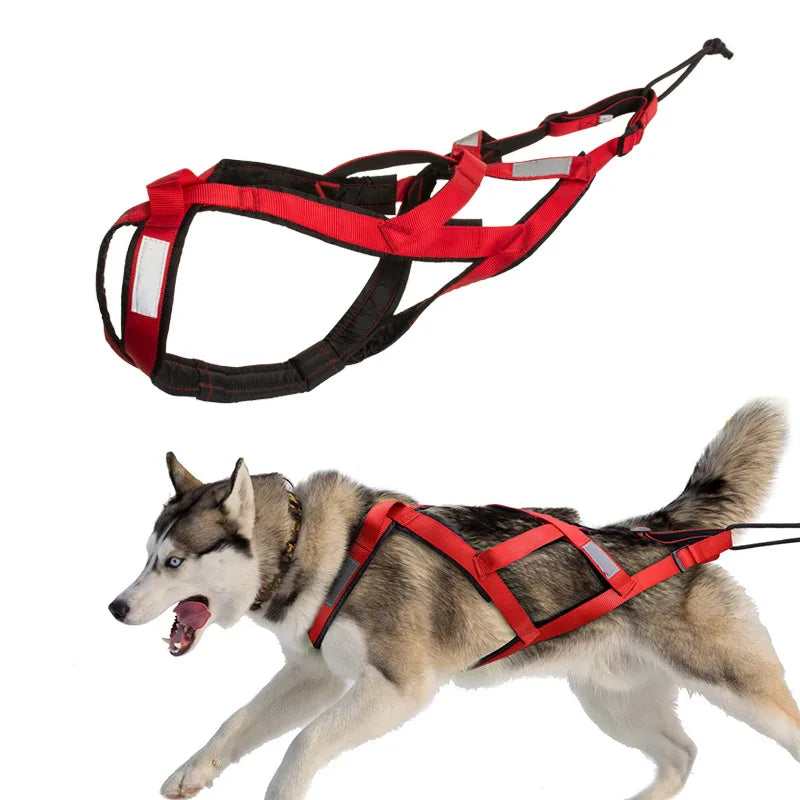X-Back Sled Harness Large Dogs Husky Canicross | PawJoyKwT