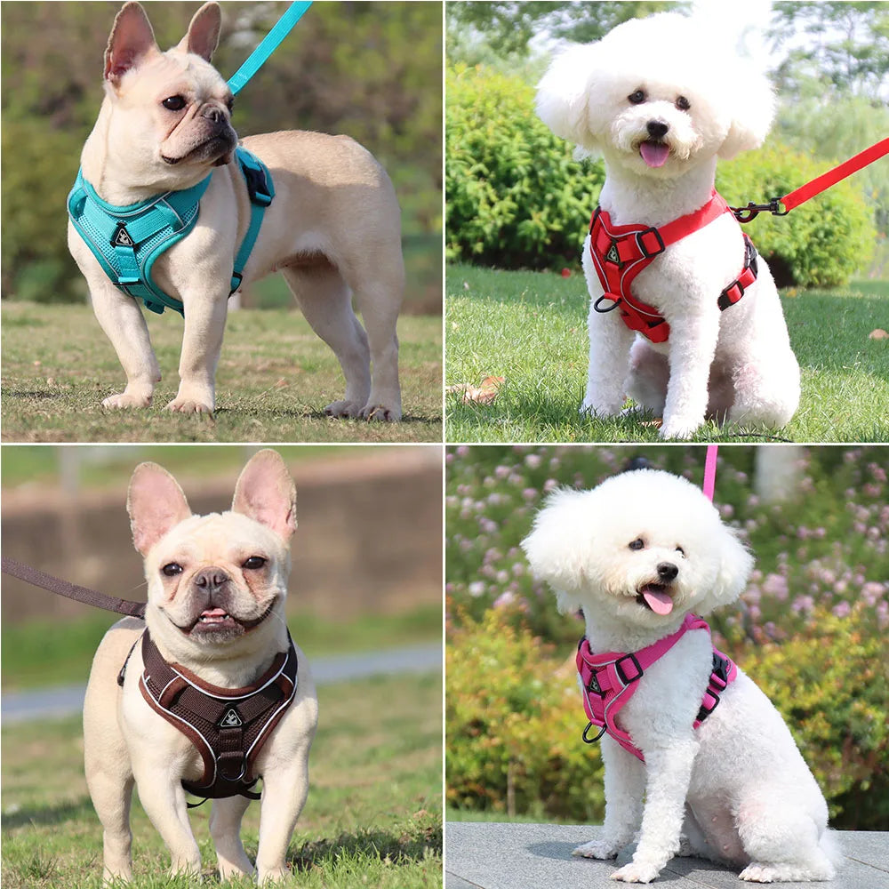 Dog Harness Leash Set Denim Jean Style Cute Adjustable No Pull Small Medium