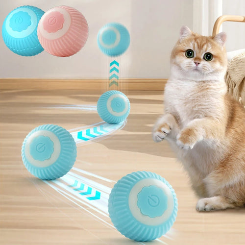 Blue and pink rolling cat toy balls with paw power button, indoor use