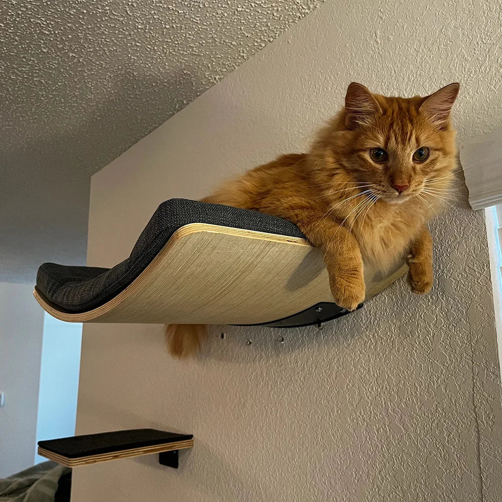 Wall Mounted Cat Shelf Bed Soft Cushion Indoor Perch