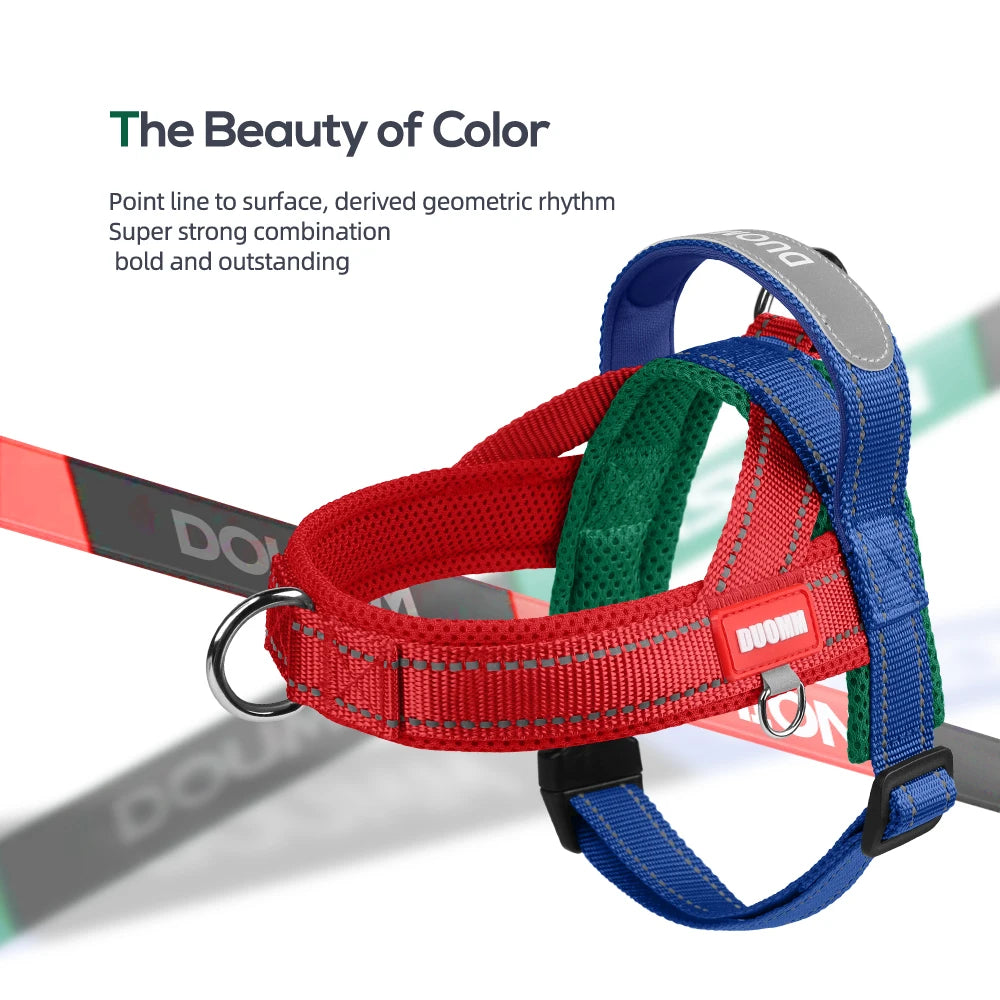 Dog saddle-type chest harness with red and blue webbing and gray padded top
