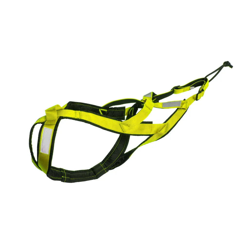 Fluorescent green X-back sled harness for large dogs, padded belly band and straps