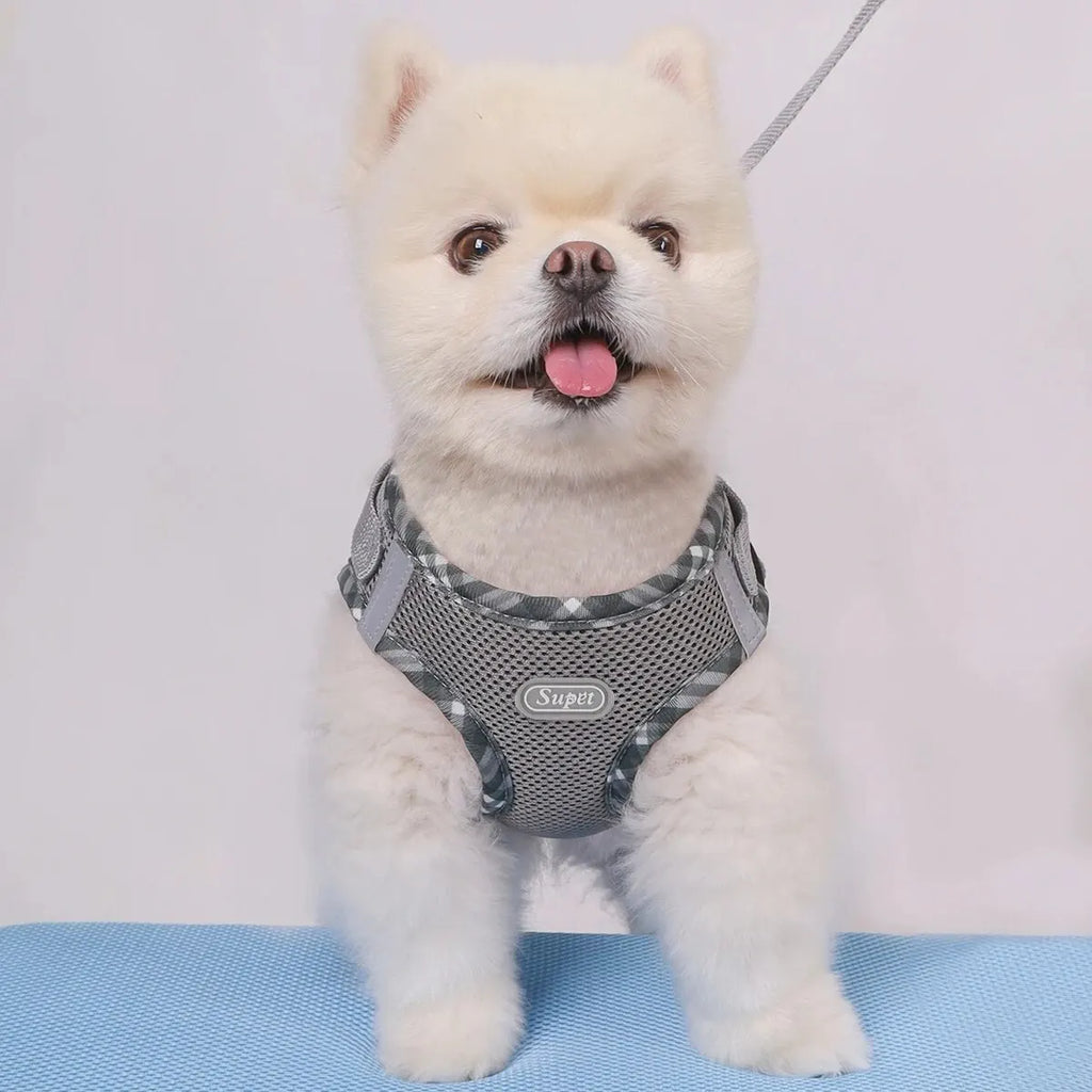 Dog Harness Leash Set Rainbow Colorful Cute Adjustable No Pull Vest Small Medium