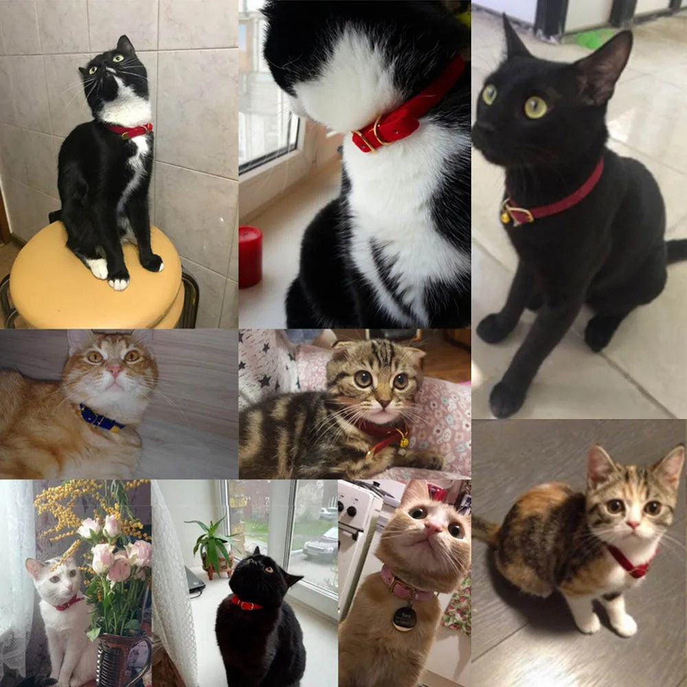 Cat Collar Bell Safety Adjustable Solid Kitten Dog Necklace