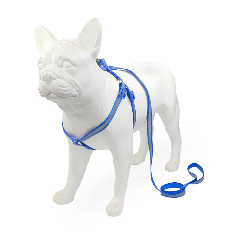 Blue reflective puppy dog harness vest and leash straps on a white dog