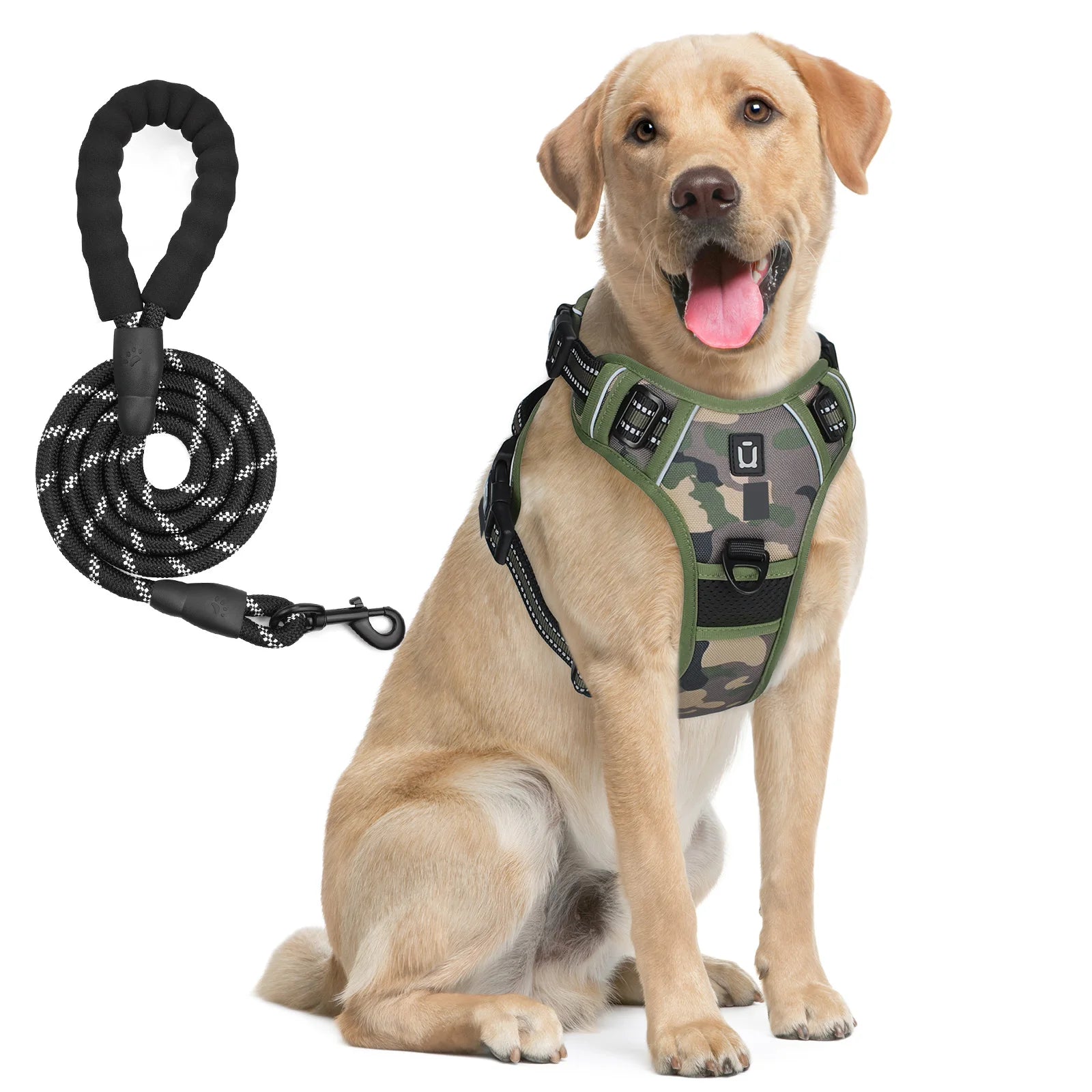 Dog harness and leash set in camouflage green with reflective accents, worn on a tan dog