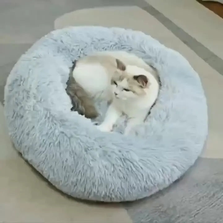 Round faux fur plush pet bed in light blue with sleeping cats inside