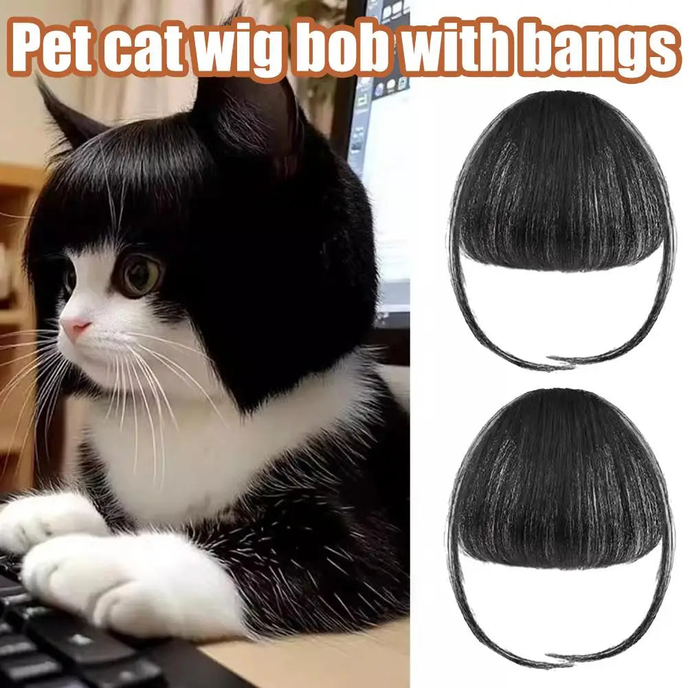 Pet wig headdress with black bob hairpiece and bangs, shown in multiple views