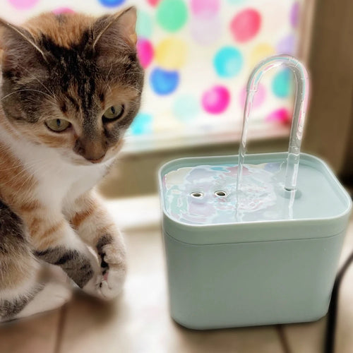 Light green cat water fountain with clear spout and flowing water in a square tray