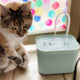 PawJoy 1.5L Mute Fountain | Silent Cat Water Fountain USA