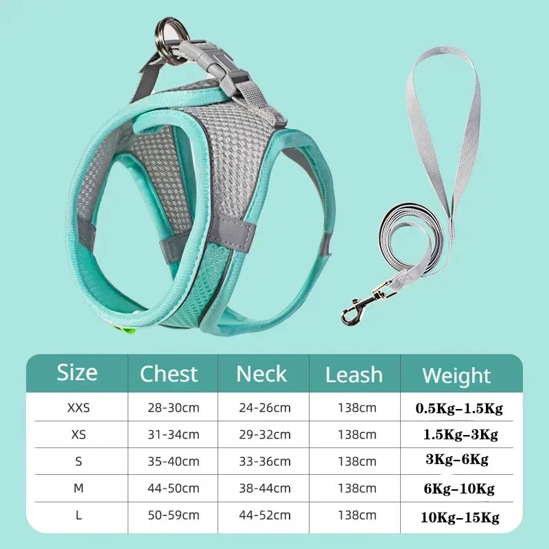 Adjustable plaid dog harness vest with matching leash, grey and teal