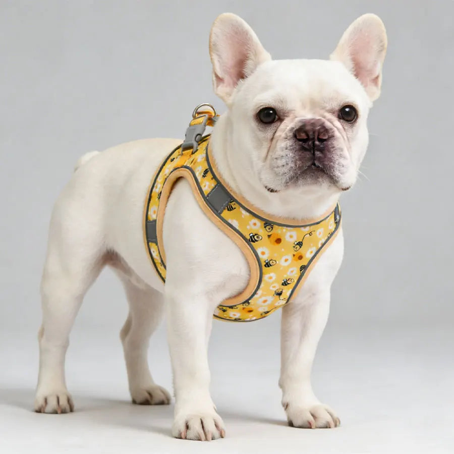 Honeycomb Mesh Dog Harness Leash Set Breathable | PawJoyKwT