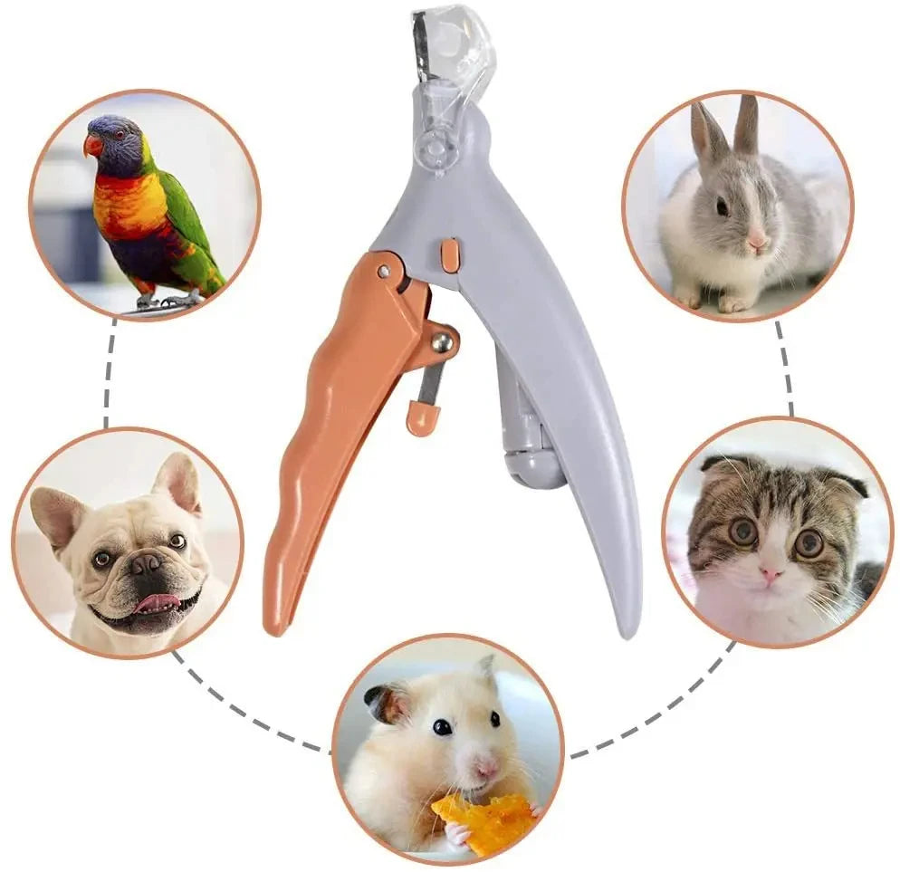 Professional Pet Nail Clipper Scissors LED Light Cat Dog Toeclaw Cutter