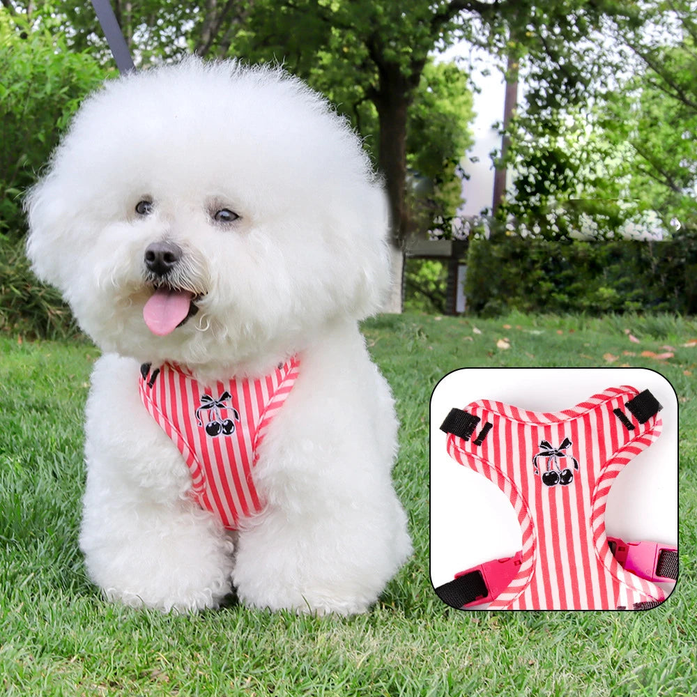 Dog harness and leash set, red striped harness with bow on white dog
