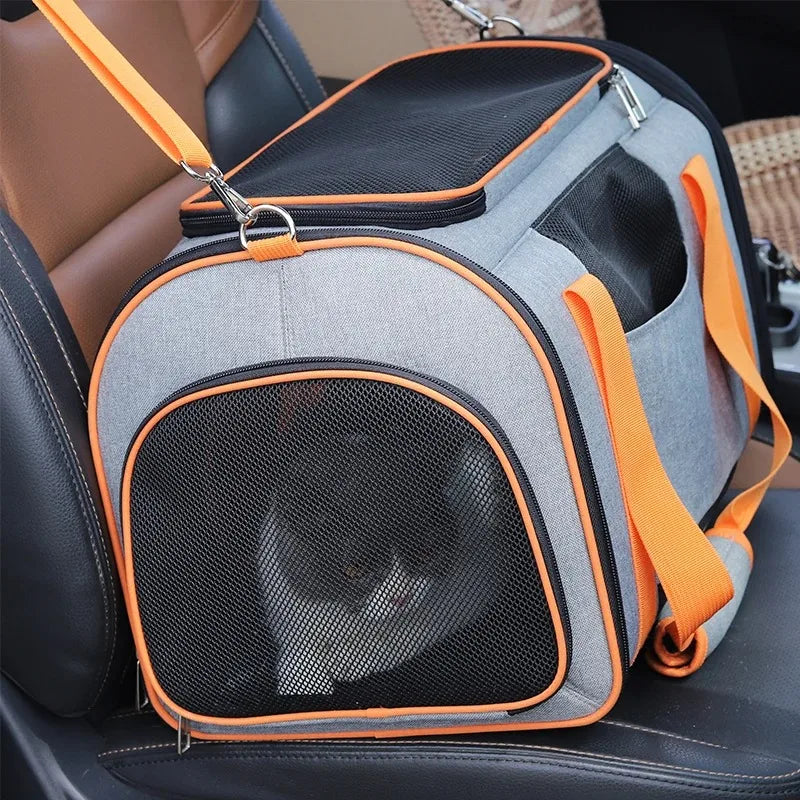 Collapsible Portable Pet Carrier Travel Airline Approved Dogs Cats
