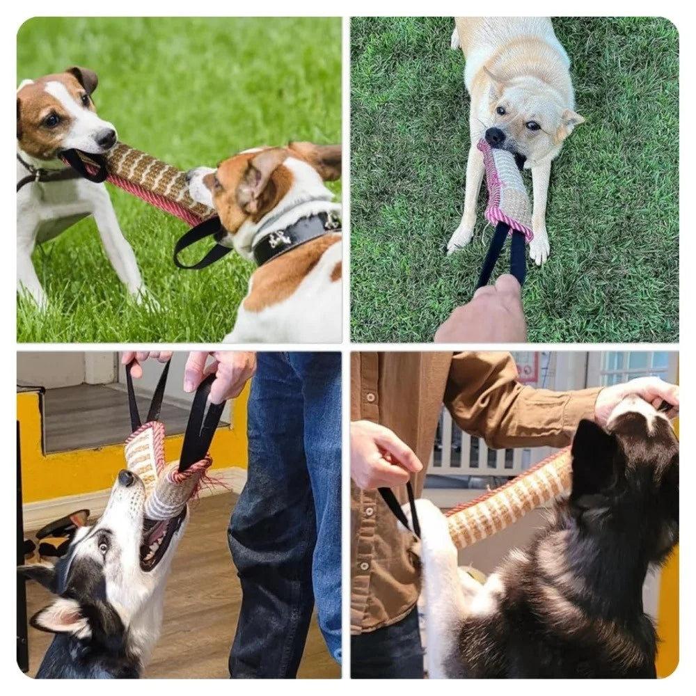Outdoor Tug of War Bite Stick Training Toy for Dogs