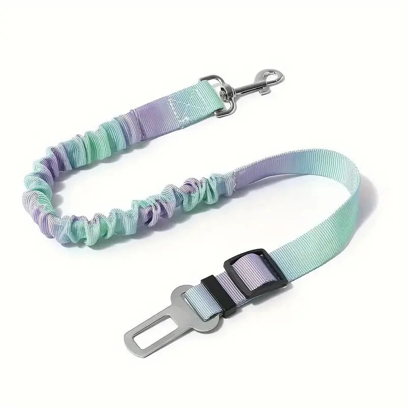 Elastic pet safety belt strap with turquoise and purple webbing, metal hook and buckle