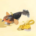 Wall-Hanging Bird Teaser Catnip Toy for Cats | PawJoyKwT