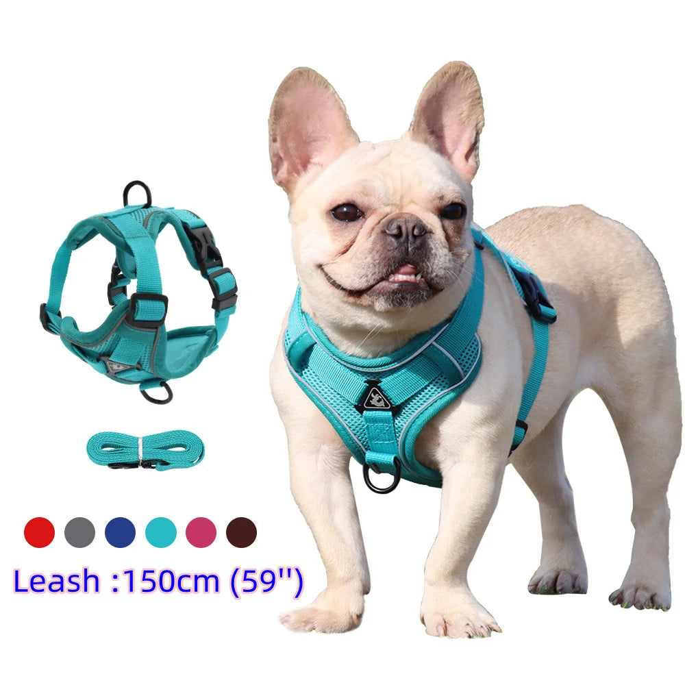 Dog Harness Leash Set Denim Jean Style Cute Adjustable No Pull Small Medium