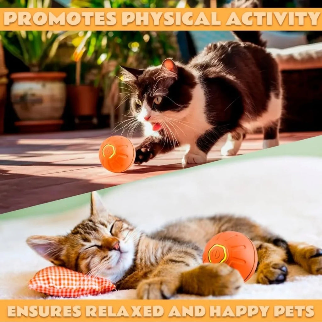 Smart Gravity Electric Bouncing Ball for Dogs & Cats