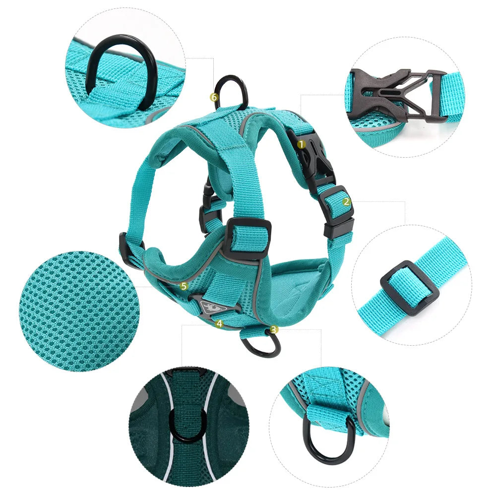 Dog Harness Leash Set Denim Jean Style Cute Adjustable No Pull Small Medium