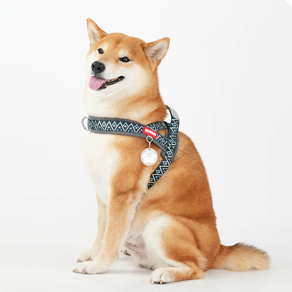 Printed Saddle No-Pull Padded Dog Harness Vest | PawJoyKwT