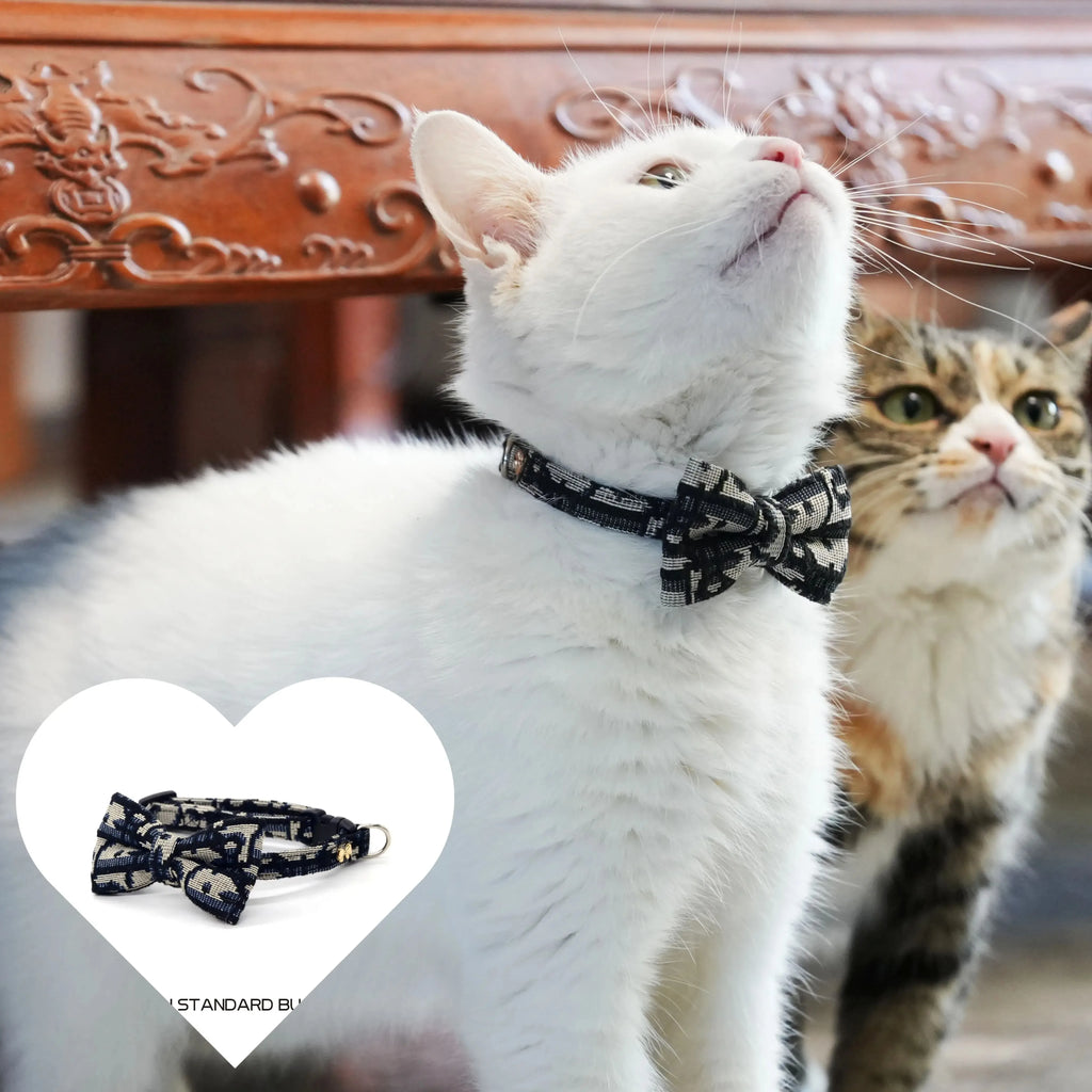 Cat wearing bow-tie collar and leash set, navy and cream patterned