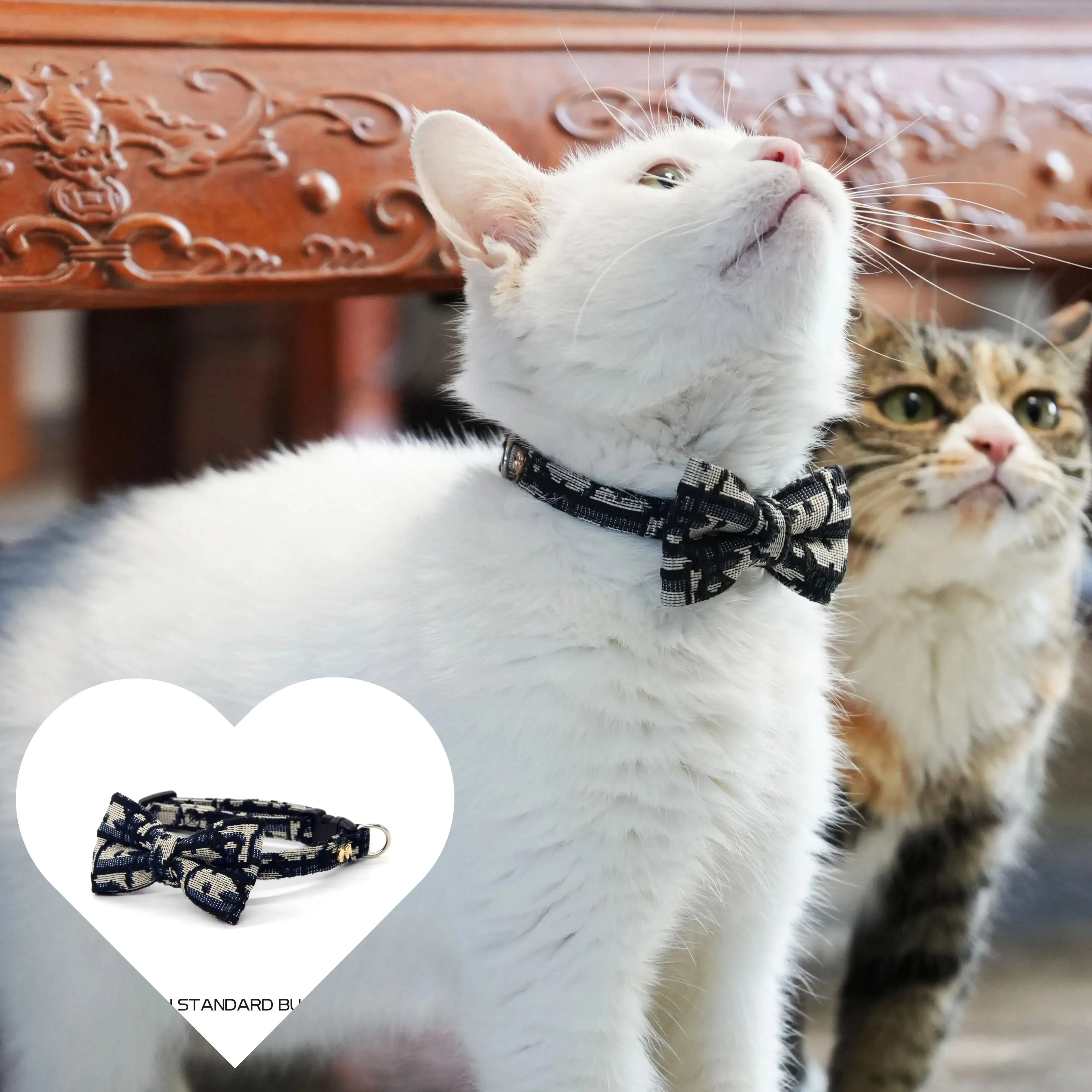 Cat wearing bow-tie collar and leash set, navy and cream patterned